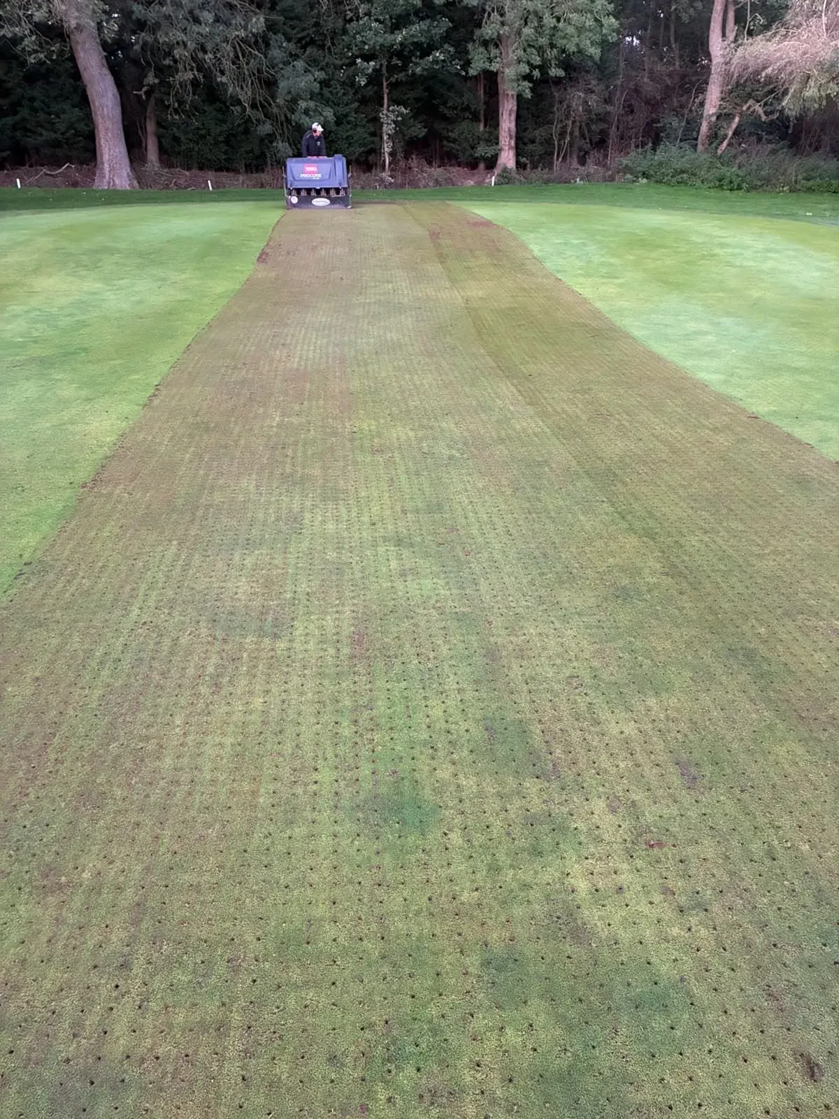 Hollow Coring Selected Greens