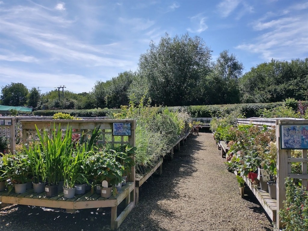 Goscote Nurseries