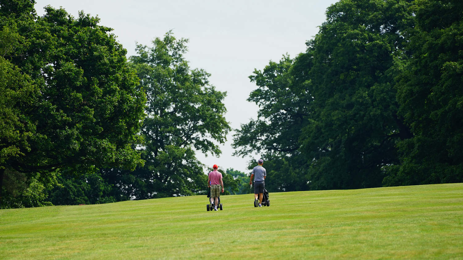 Professional - Rothley Park Golf Club