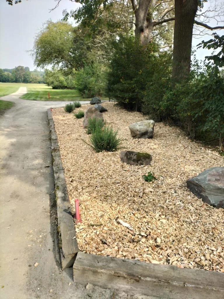 Making good user of the surplus wood chippings