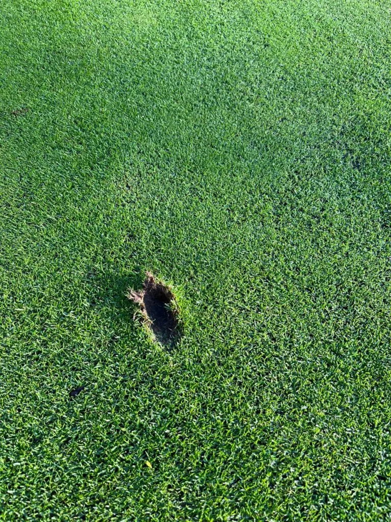 Please Repair Your Pitch Marks