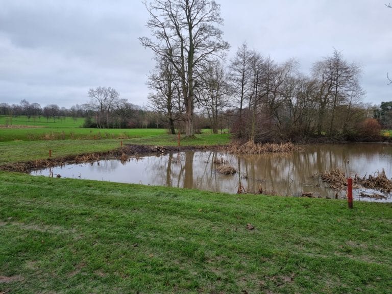 Pond Progress
