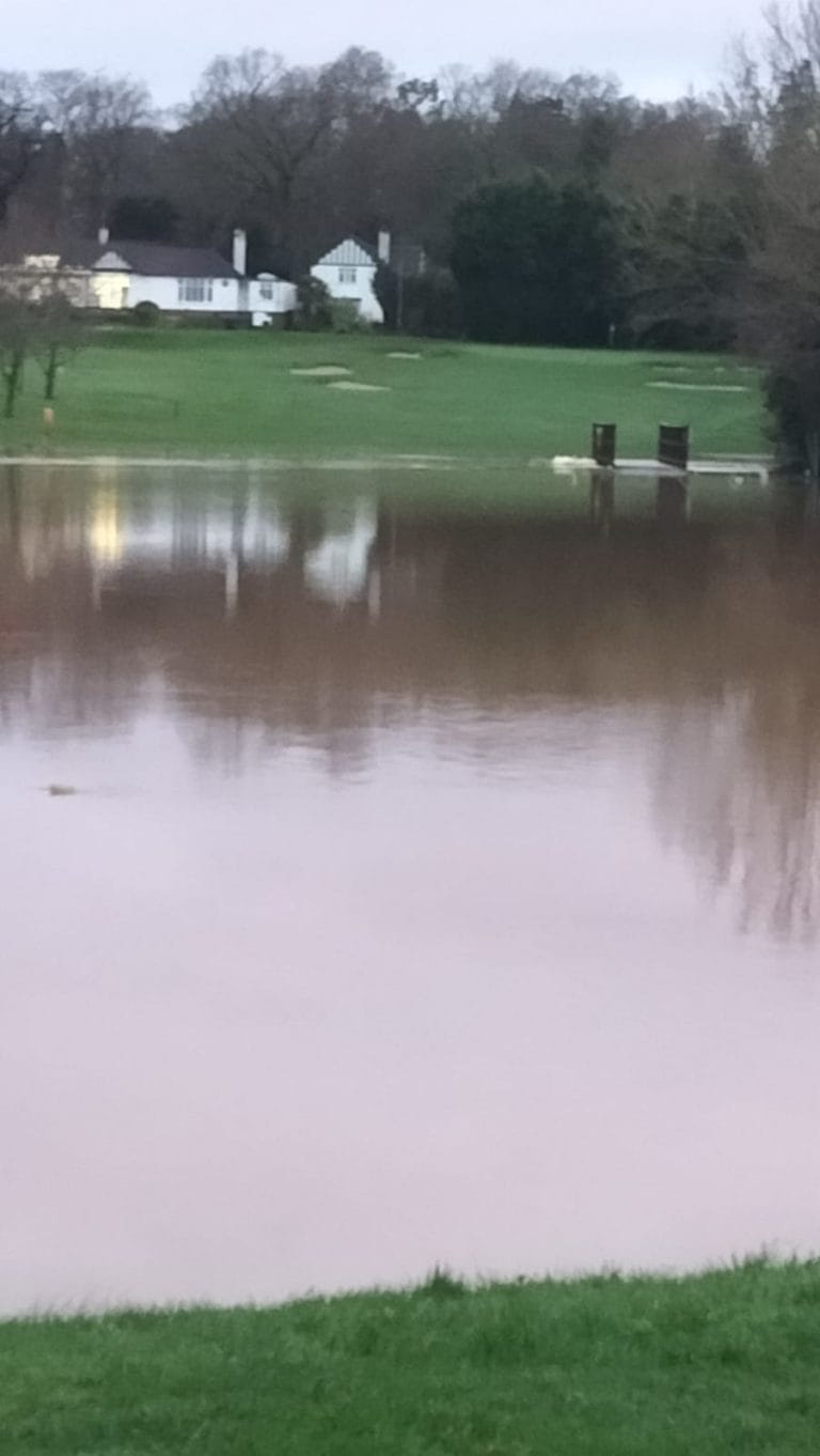 Another Flood ! 3/1/2024