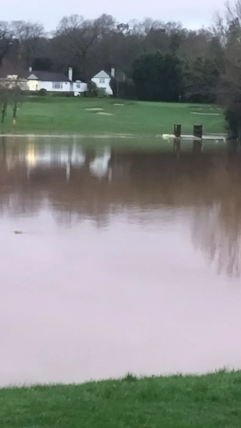Another Flood ! 3/1/2024