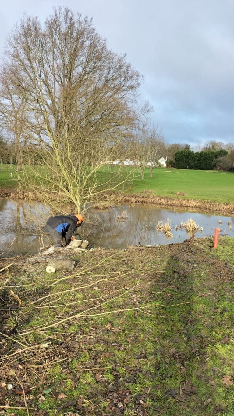 Clearing the Pond