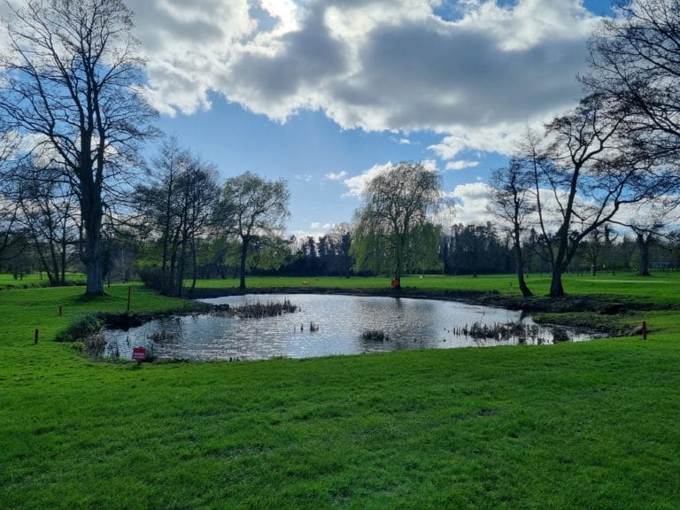 Pond Clearance Completed