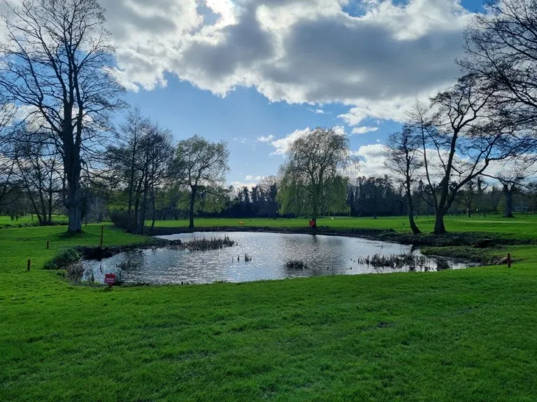 Pond Clearance Completed
