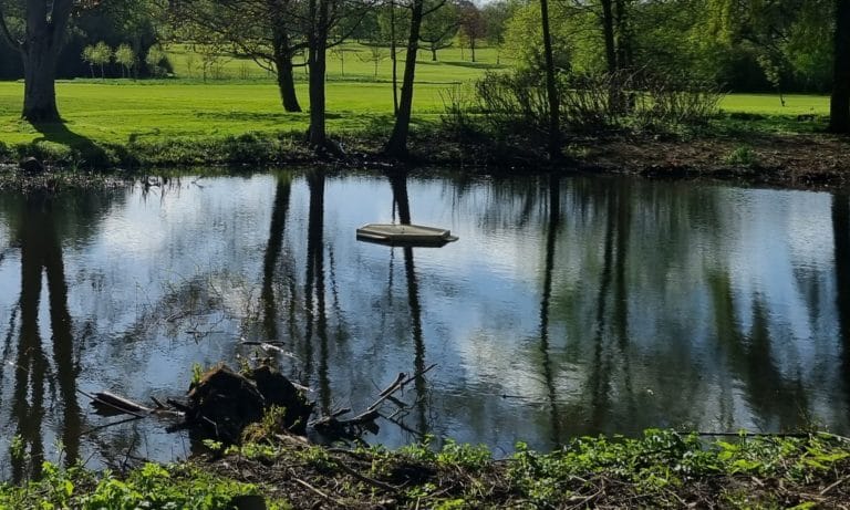 Swan Nesting Platform in Place