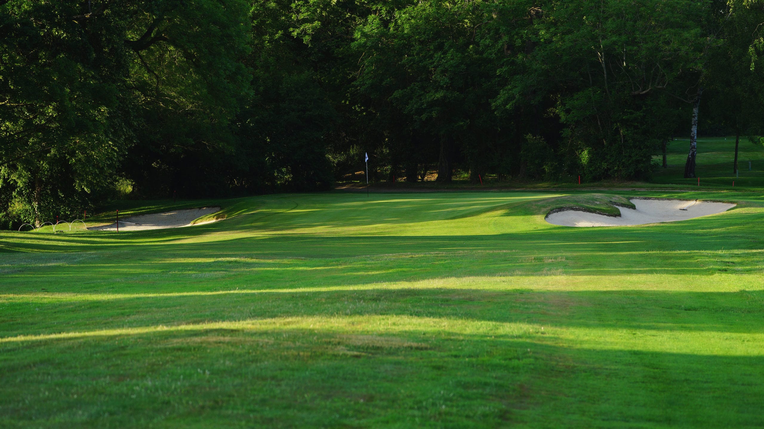 RPGC_Course_Page_Hole12_v001