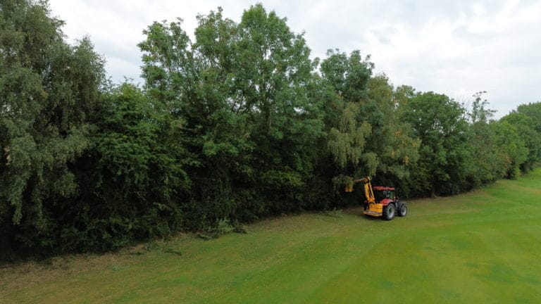 Hedge Cutting this Week