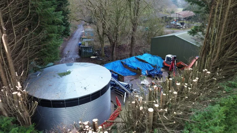 Tree Work Around the New Storage Tanks