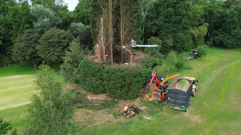 Work Going on all Over the Course