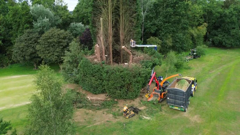 Work Going on all Over the Course