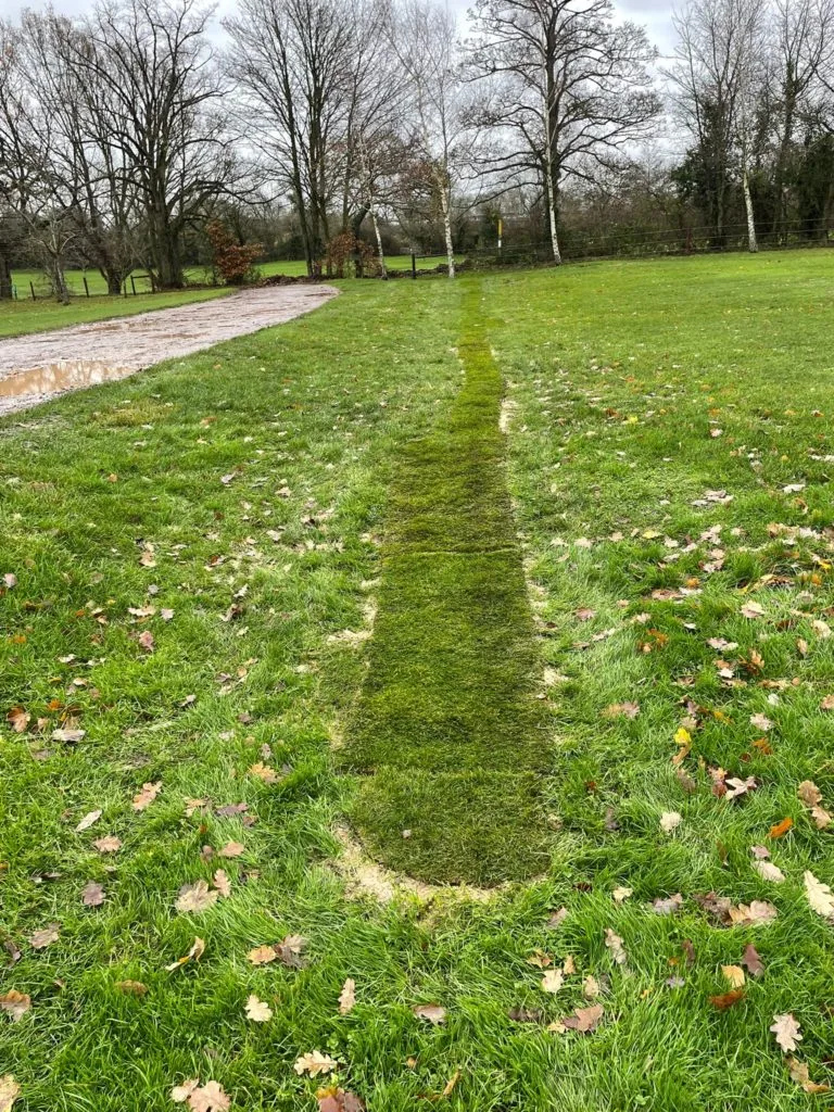 Drainage Lines Returfed